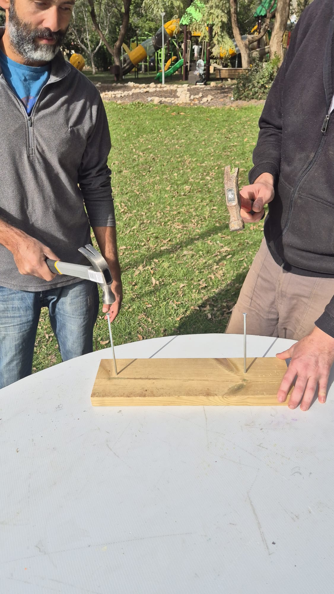 רגע מהאולימפיאדה