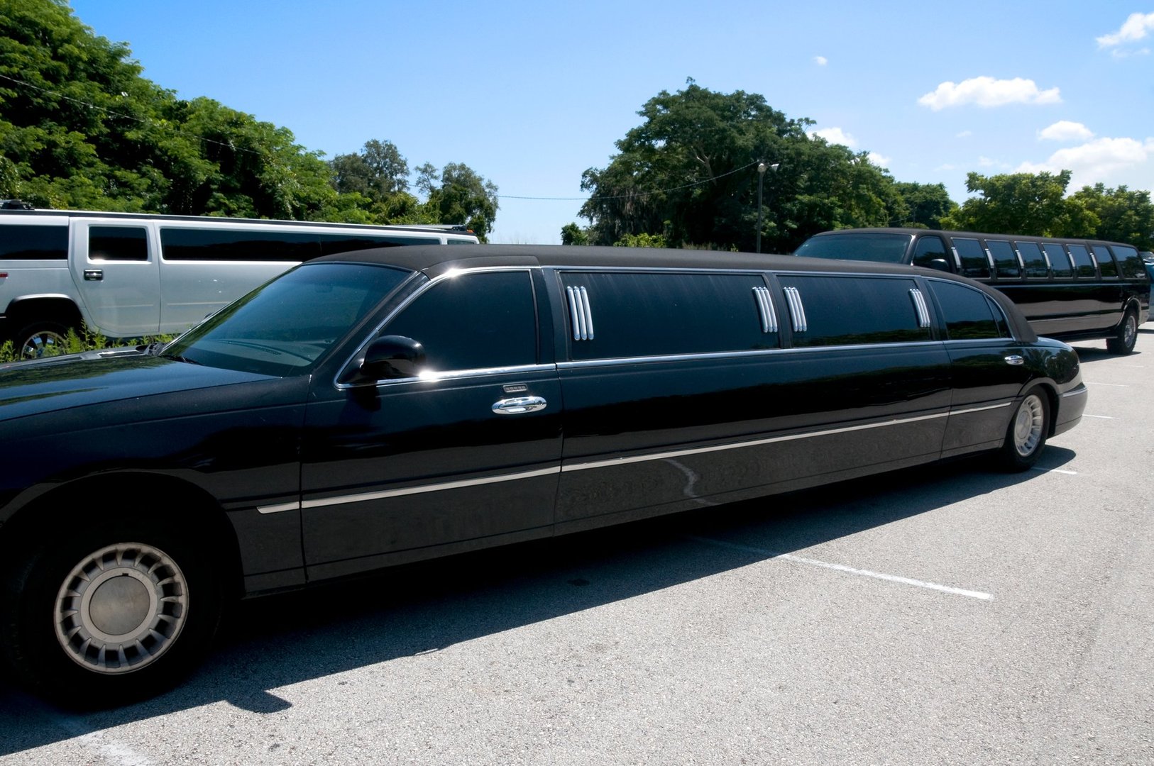 Long black limousine parked in a lot with trees and a clear blue sky in the background.