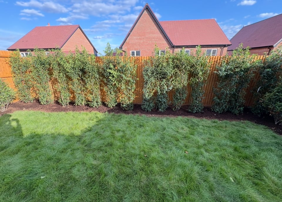 Seasonal garden services including planting and clearance
