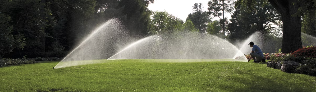 Professional Installation & Expert Service