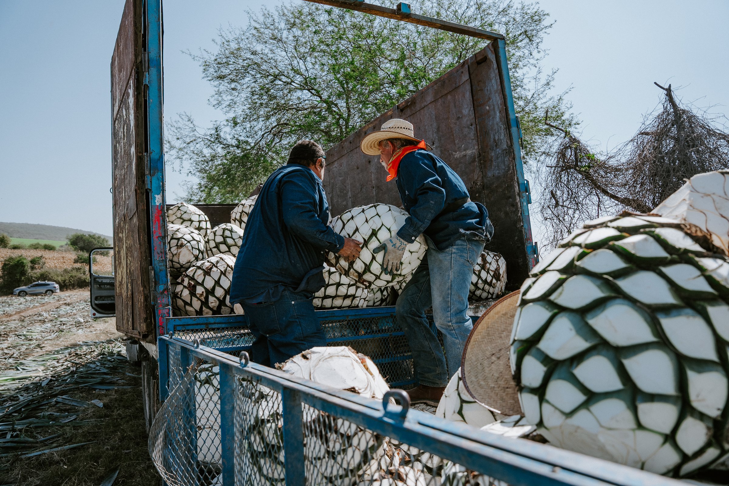 Equipos de destilación y producción