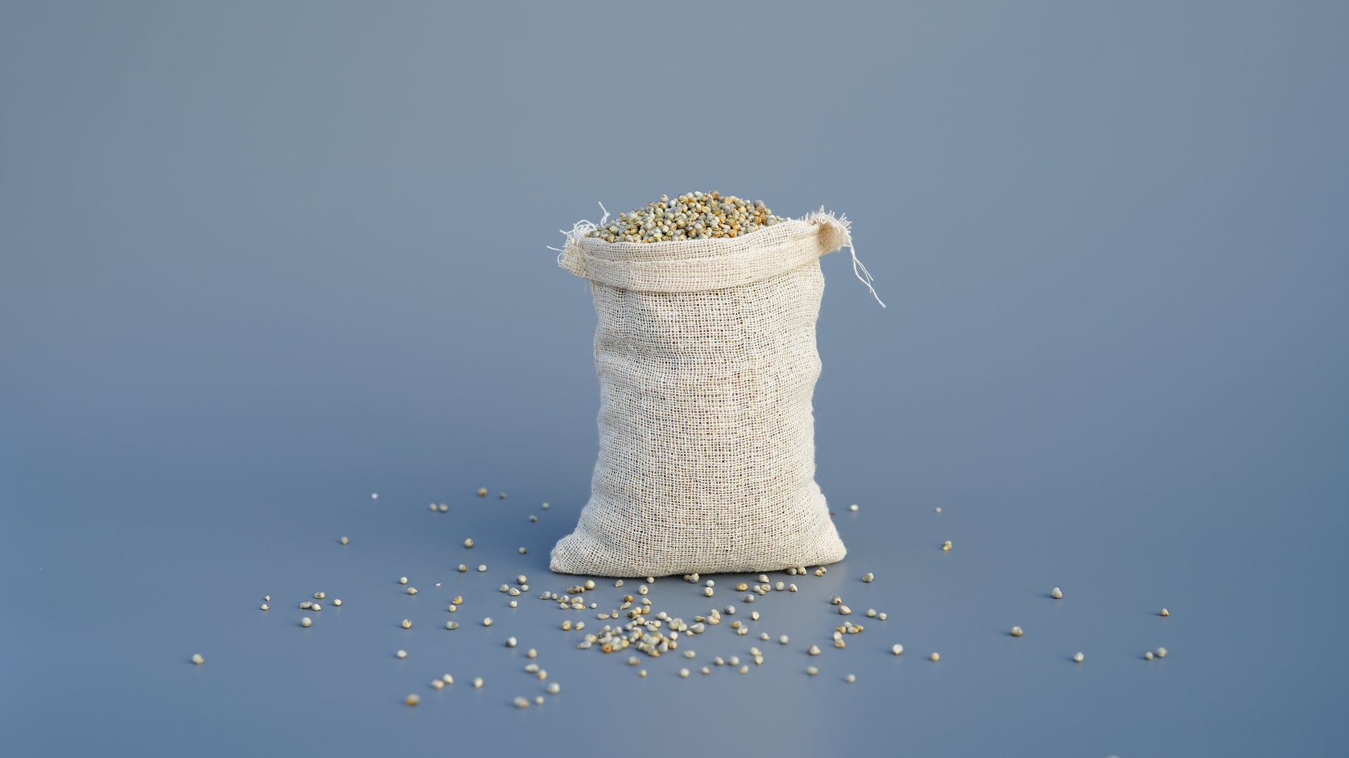 Raw uncooked millet or bajra in burlap sack and a wooden spoon isolated on a gray background. Organic Pennisetum glaucum in a jute bag. Healthy food supplement concept.