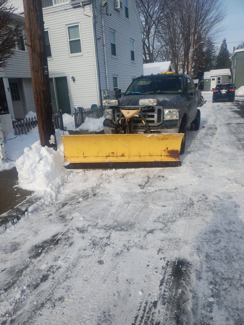 Professional tree care team