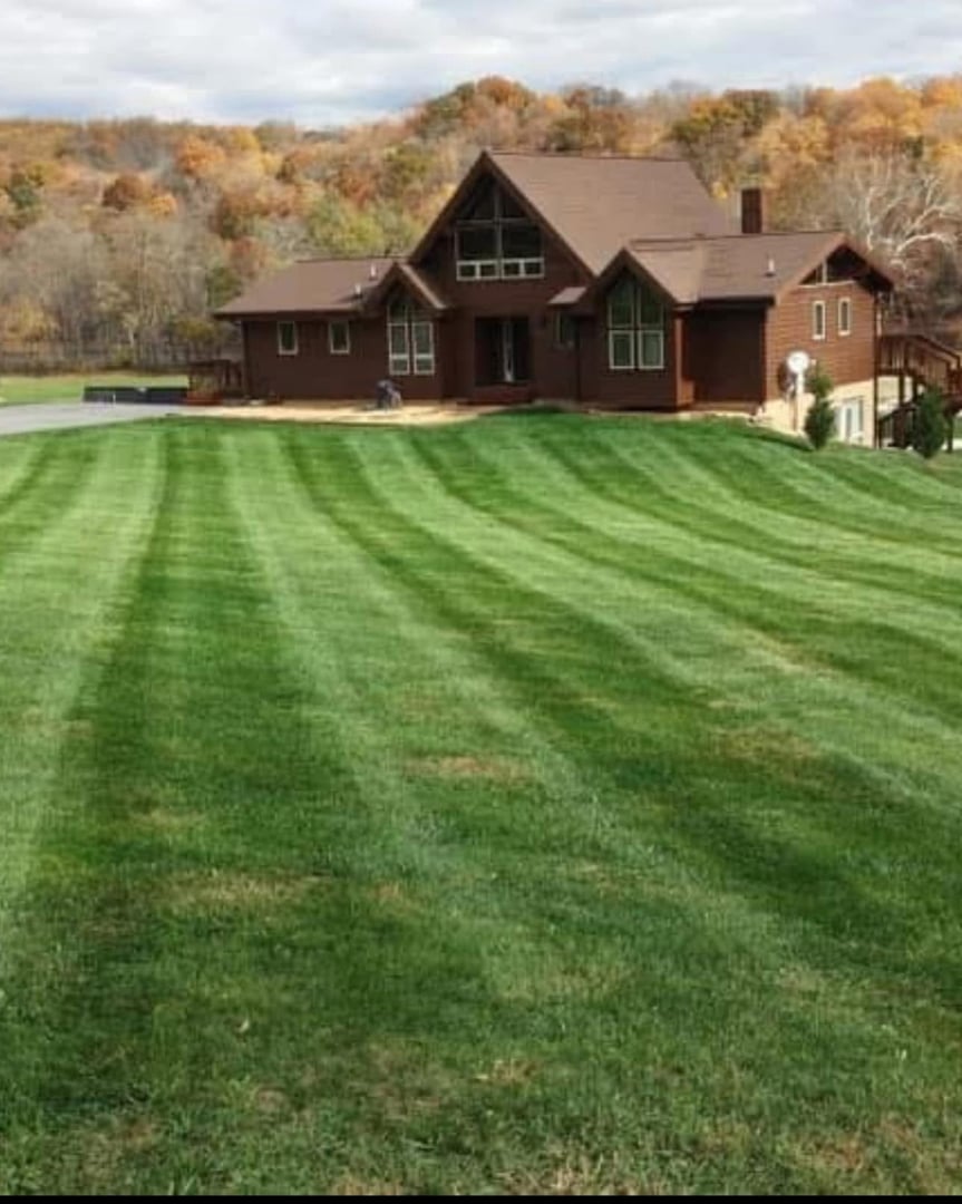 Lawn Care & Maintenance project