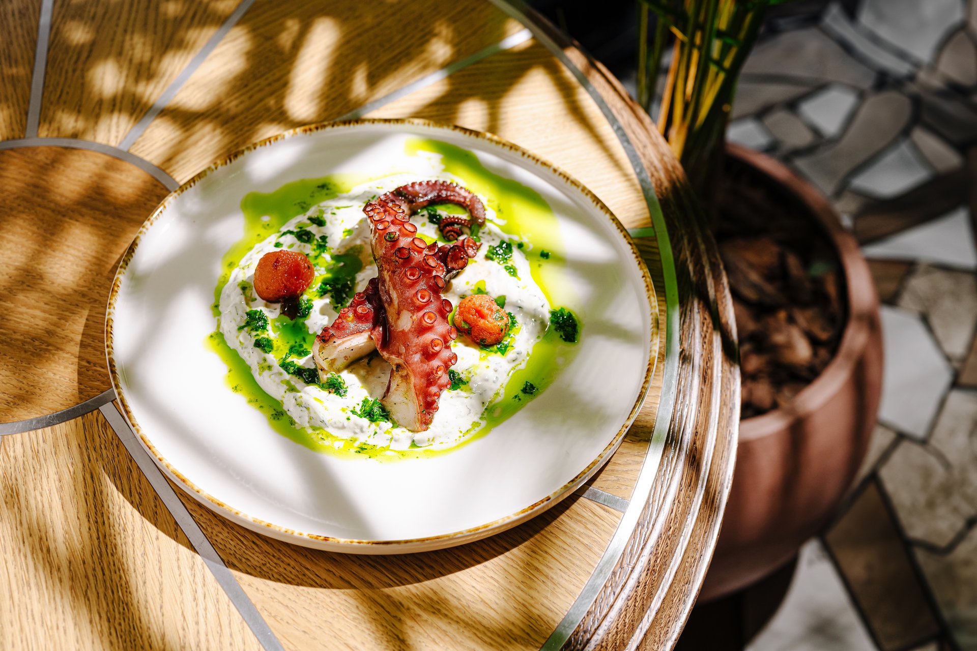 A beautifully arranged dish features tender octopus over creamy sauce and vibrant garnishes. Sunlight filters through the leaves, enhancing the appetizing presentation in a warm setting.