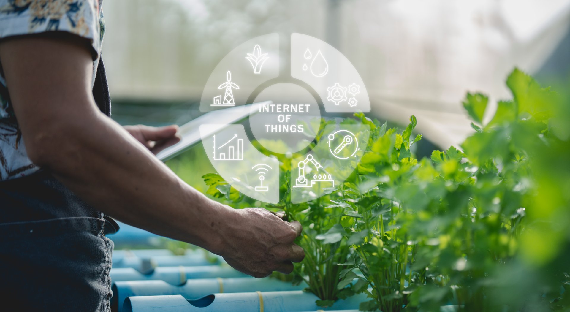 A person tends to hydroponic plants with digital futuristic icons illustrating technology integration in agriculture.