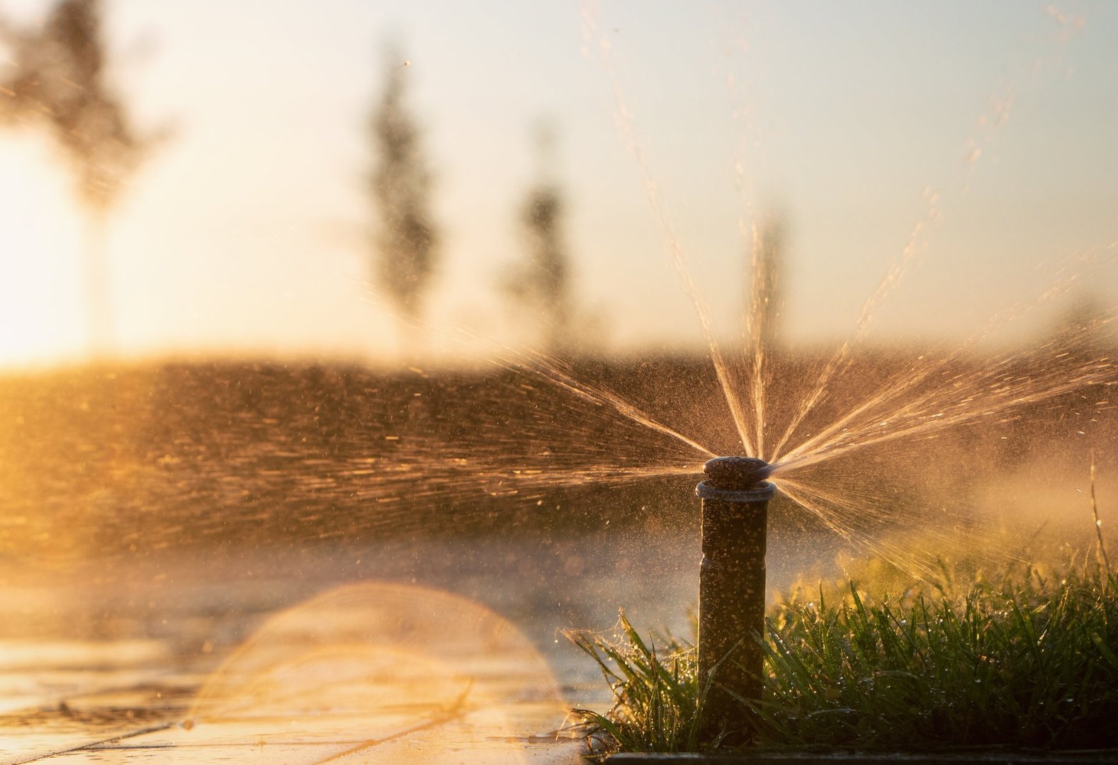 Automatic irrigation system spraying water on lawns to nourish the grass during sunset, with bright sunshine.