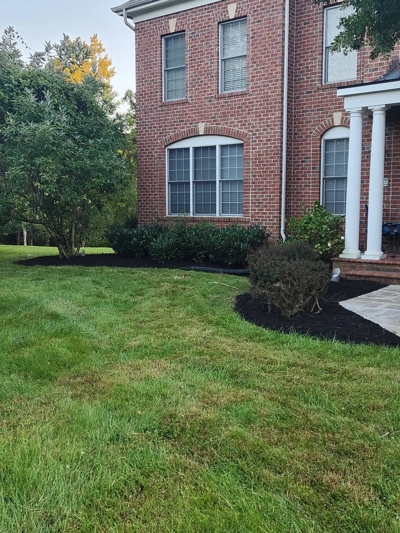 Professional landscaping installation