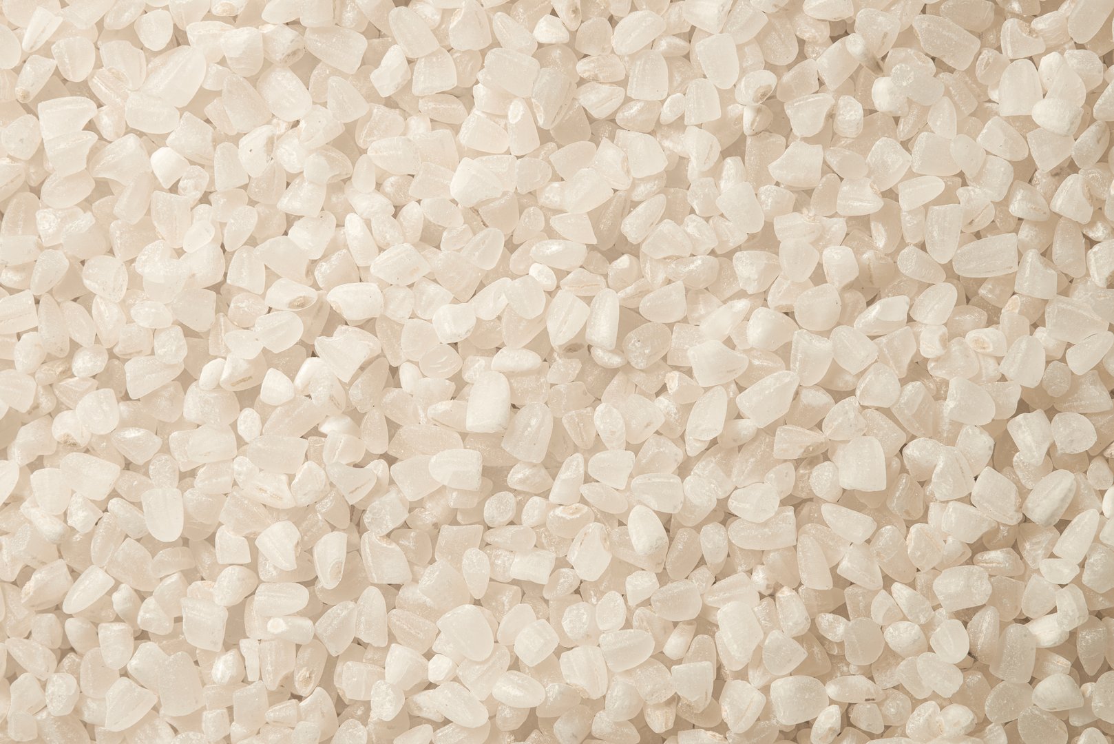 Close-up of a pile of round rice grains