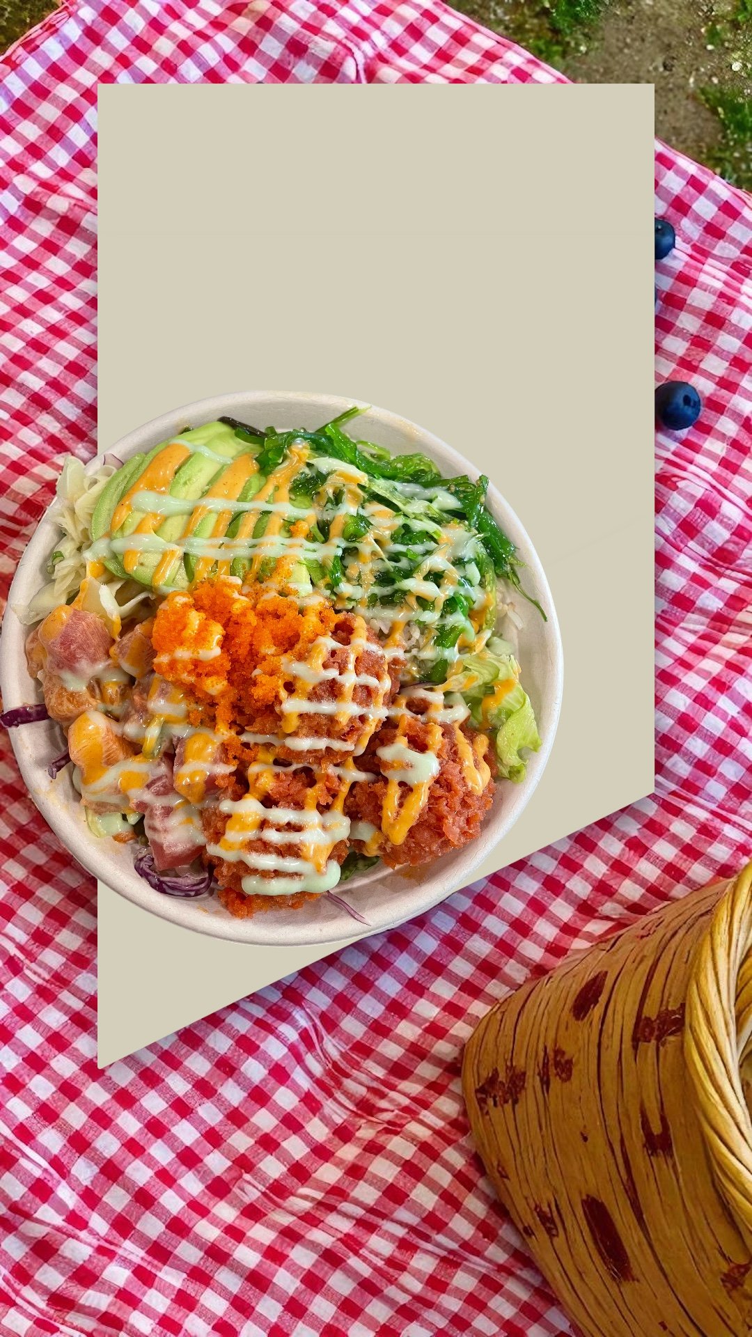 Circle Poke fresh poke bowl