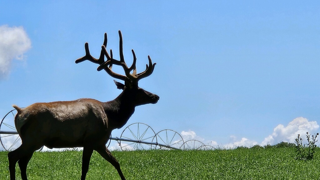 Western Colorado mountain property with scenic views