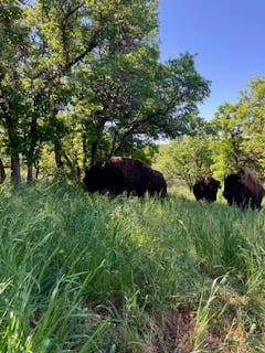 Beautiful ranch property in Western Colorado