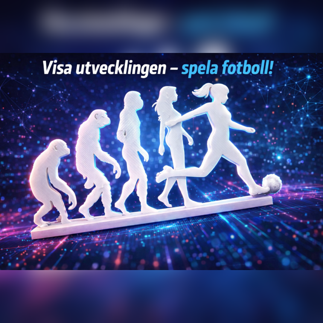 Evolution Fotboll Dam