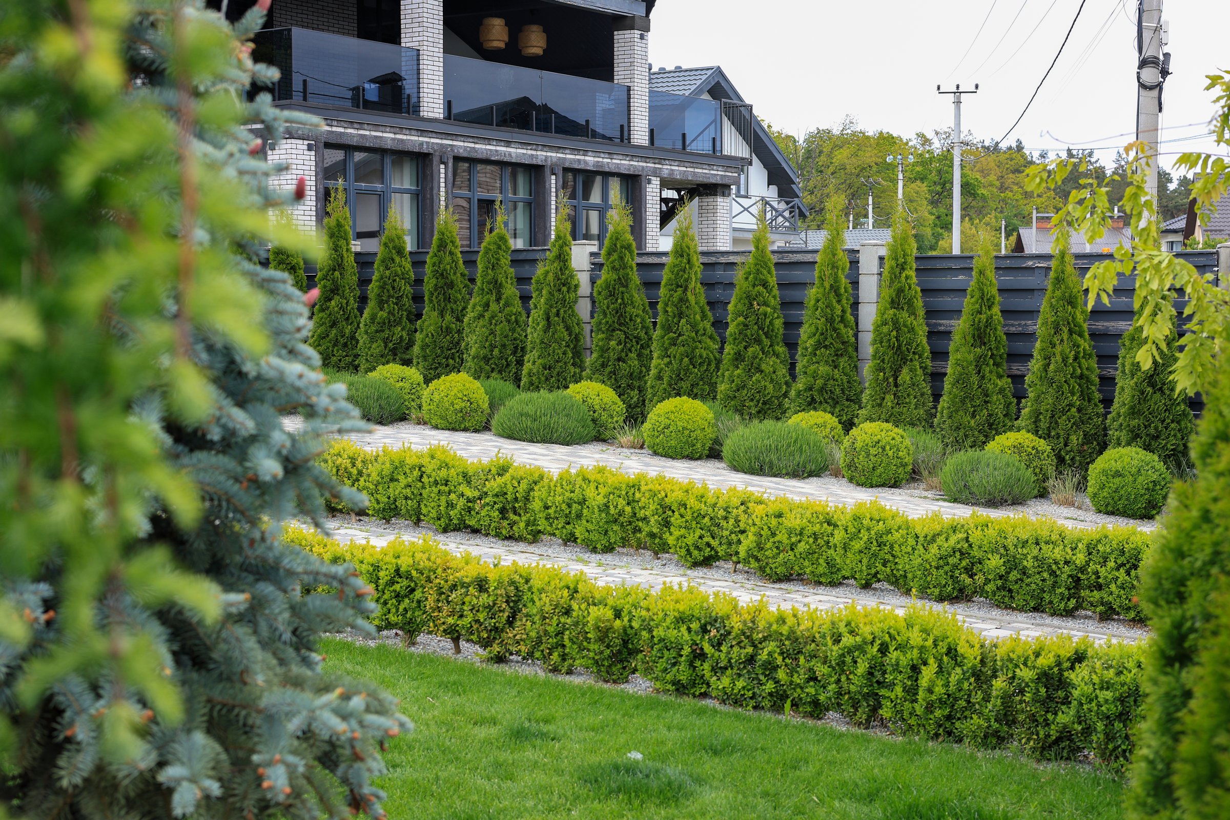 Landscape design of the local area. Green spaces, trees, patio