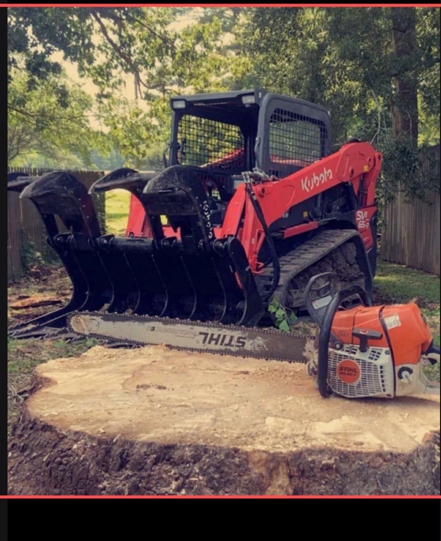 Berry's Tree Pro professional equipment and tree removal work