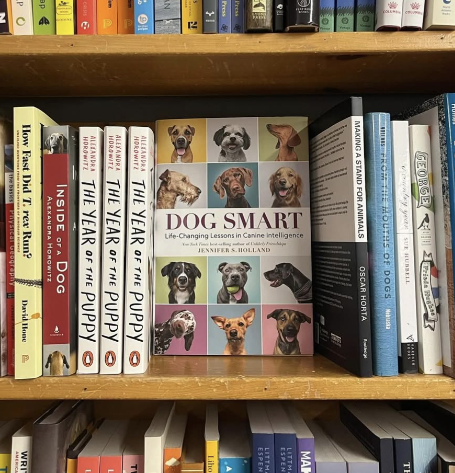 jenniferhollandwrites