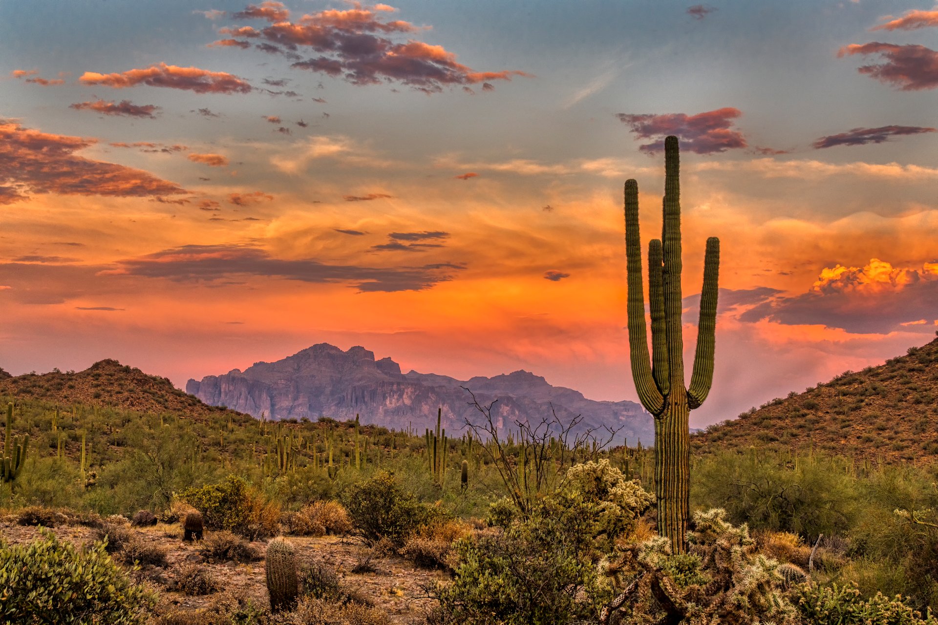 Safford Arizona desert landscape