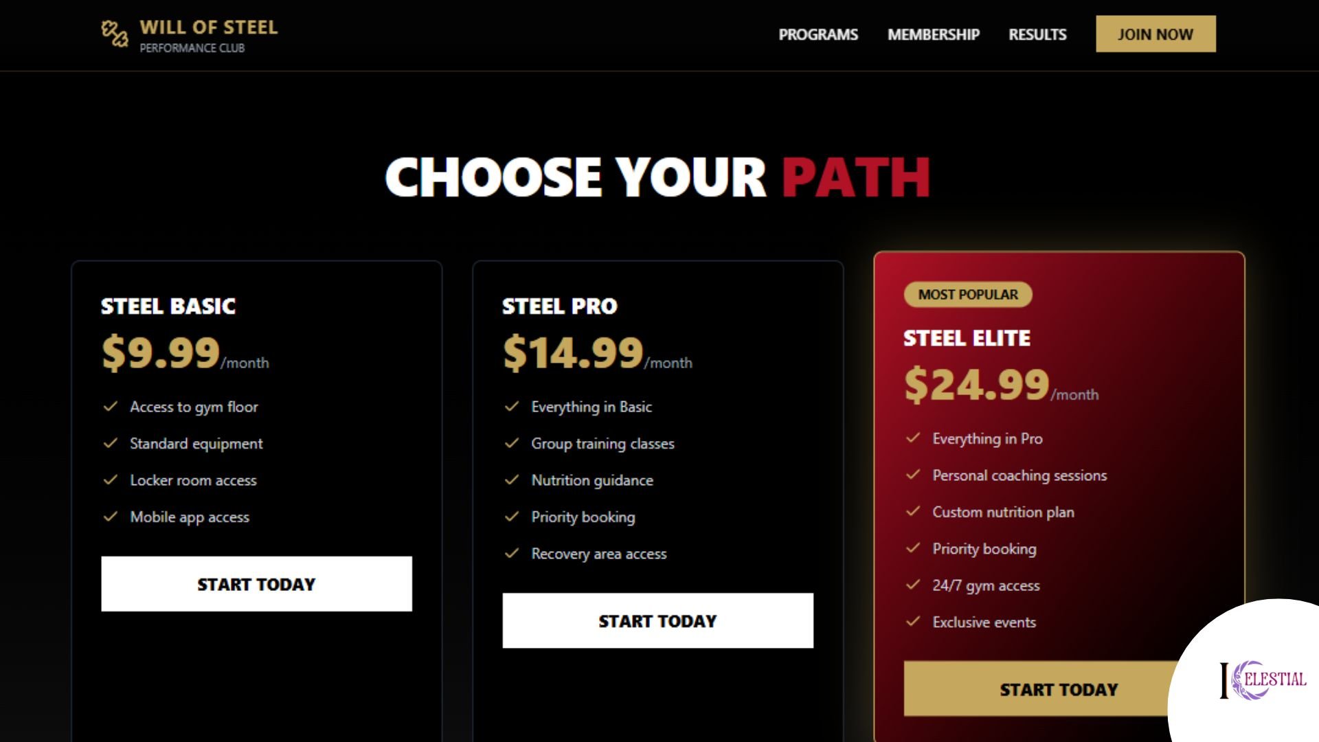 Will of Steel Performance Club Website Screenshot 4