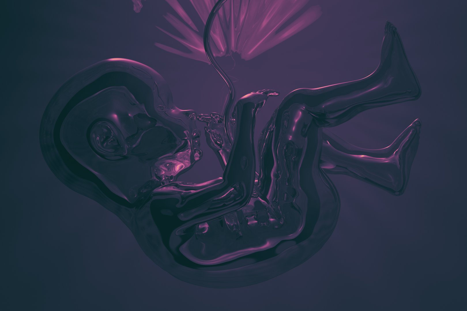 Stylized illustration of a human fetus in the womb showing umbilical cord