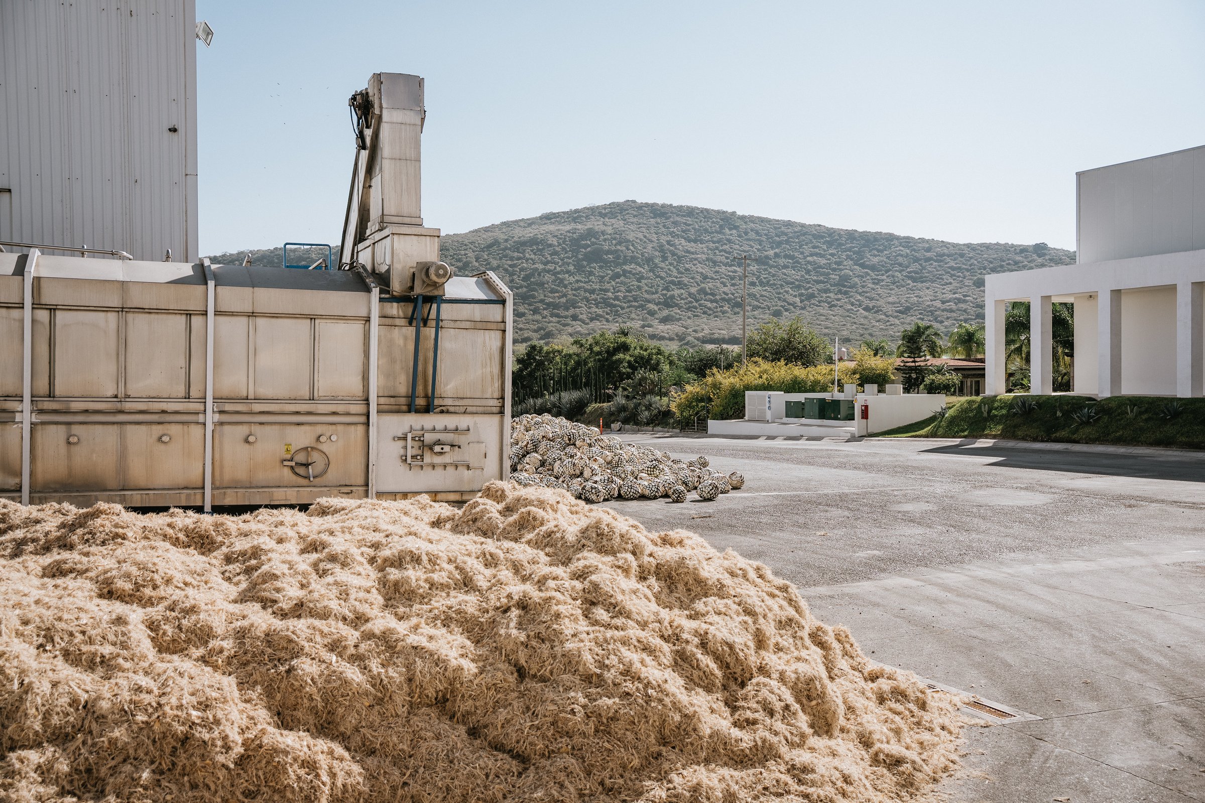 Instalaciones de la fábrica Casa Álamos Tequilera