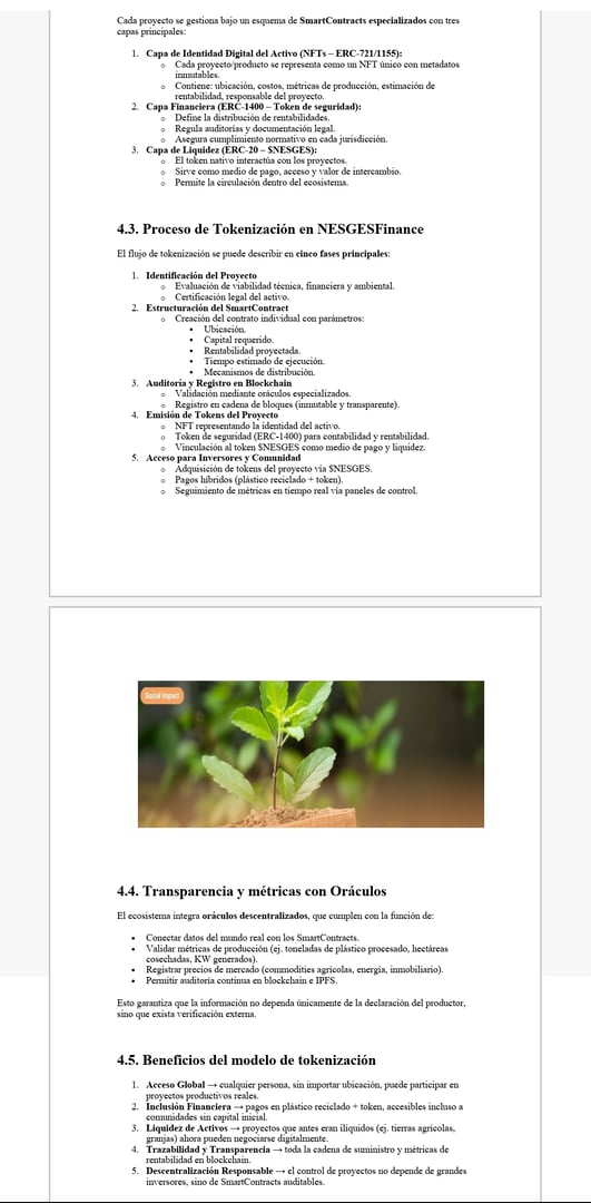 Roadmap y fases de desarrollo del ecosistema NESGESFinance