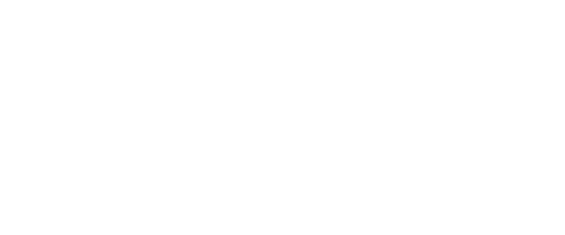TDM Technology Solutions Logo