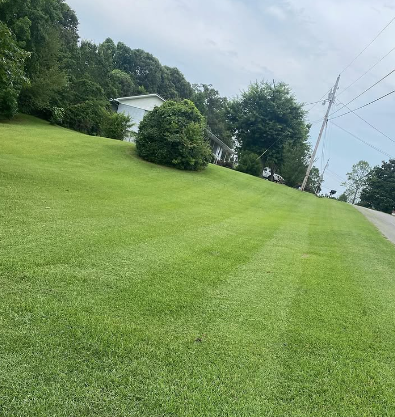 McGlaughn Lawn Care professional work