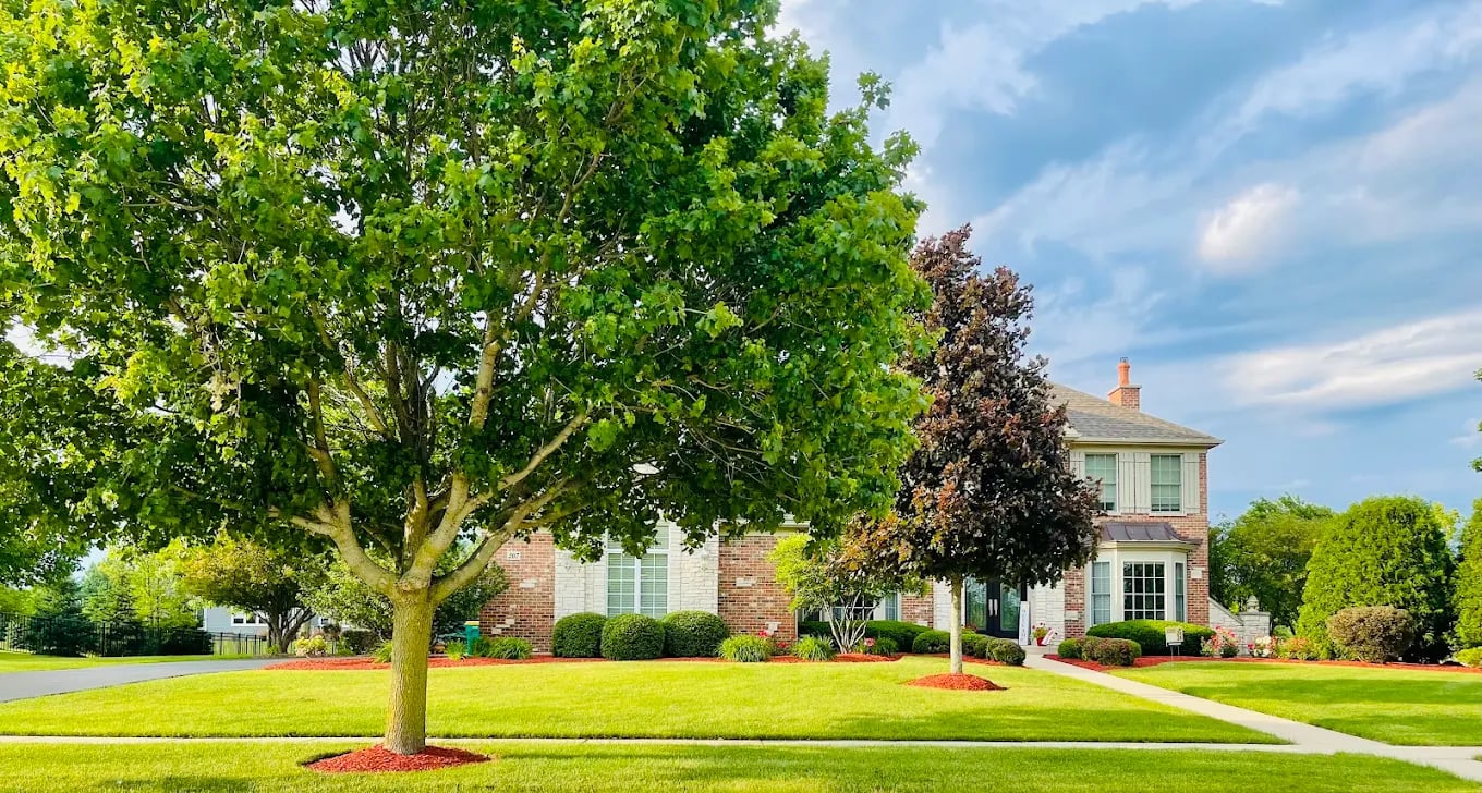 Q's Lawn Care and Landscaping professional work