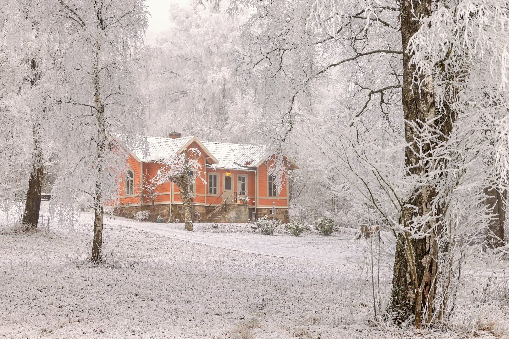 Falköping, Sweden-December, 2024: Idyllic pink wooden house in grove of trees with hoarfrost a cold winter day