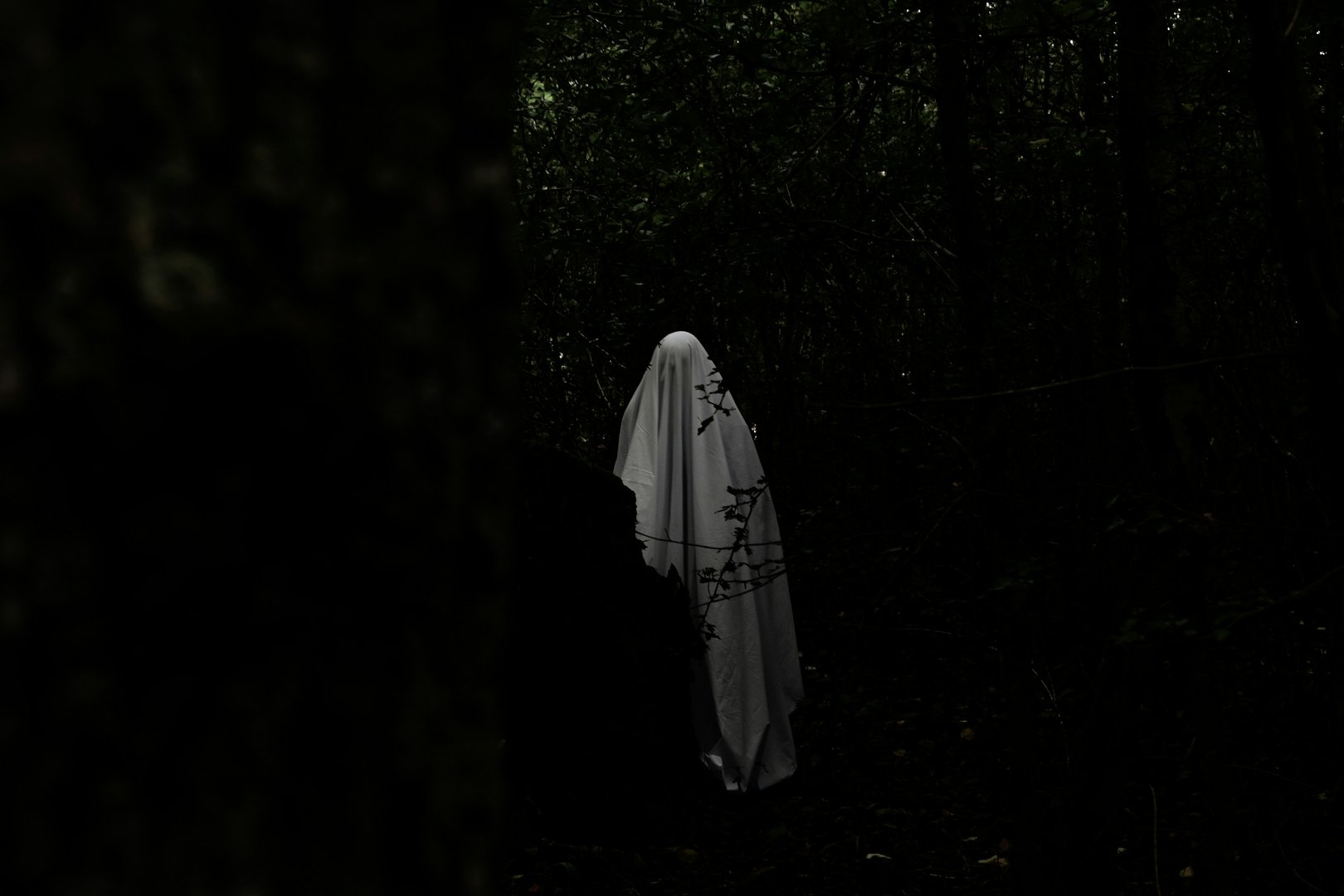 A figure in a white sheet resembling a ghost stands in a dark, dense forest, creating a spooky atmosphere.