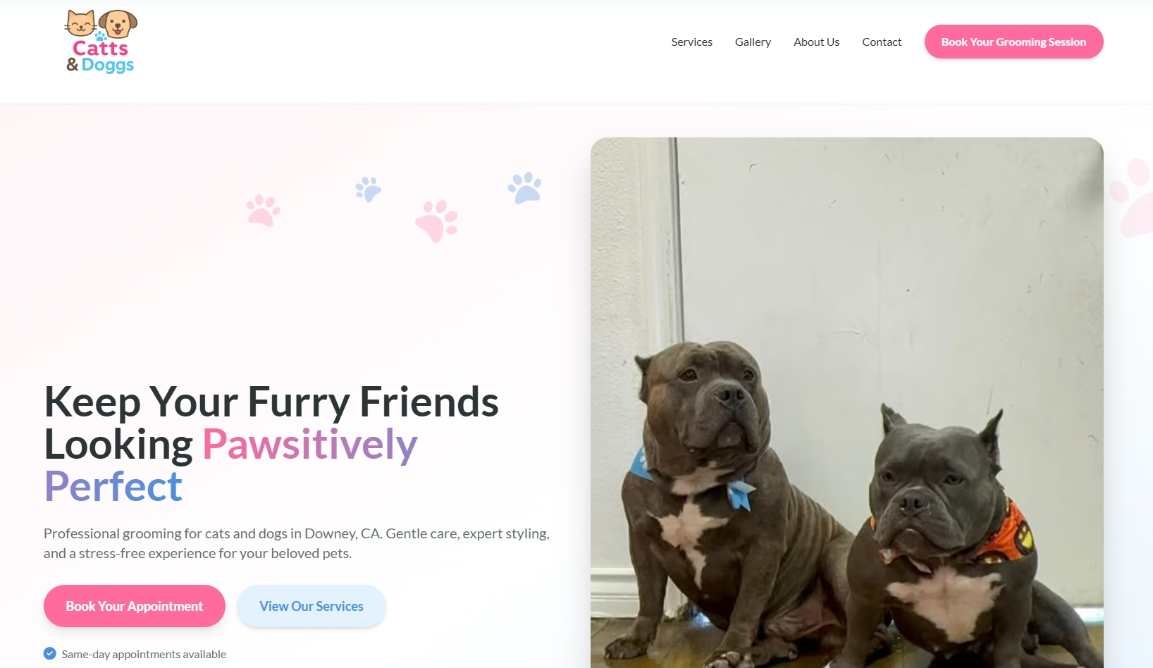 Good cats and dogs example