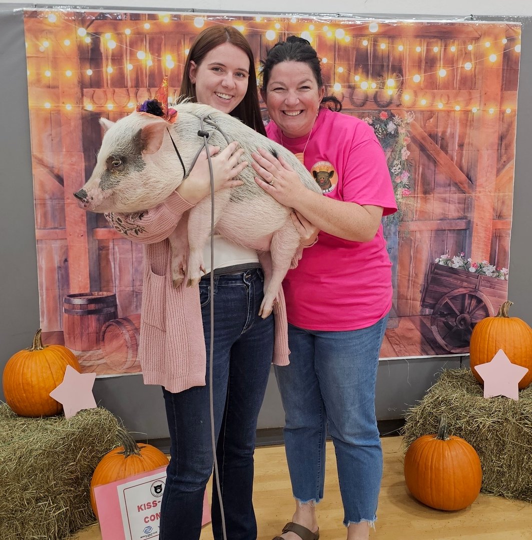 Pink piglet on white