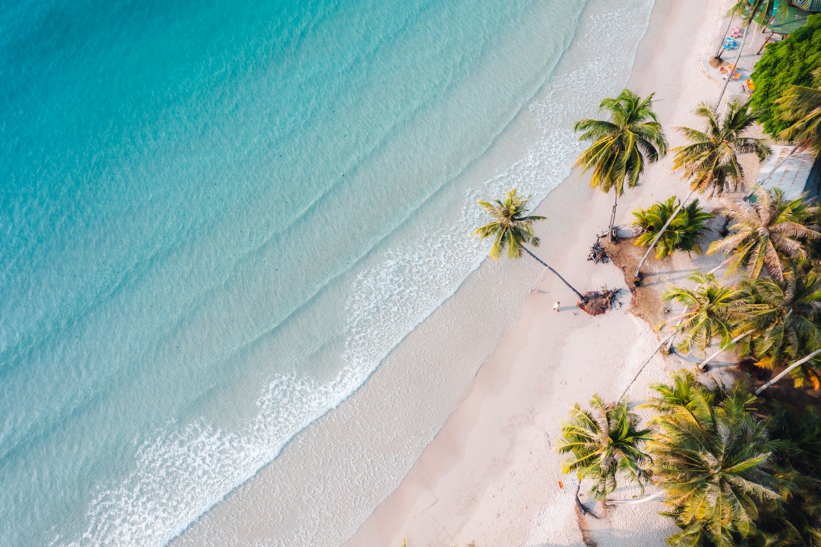 Beach and coconut trees on a calm island in the morning, aerial view