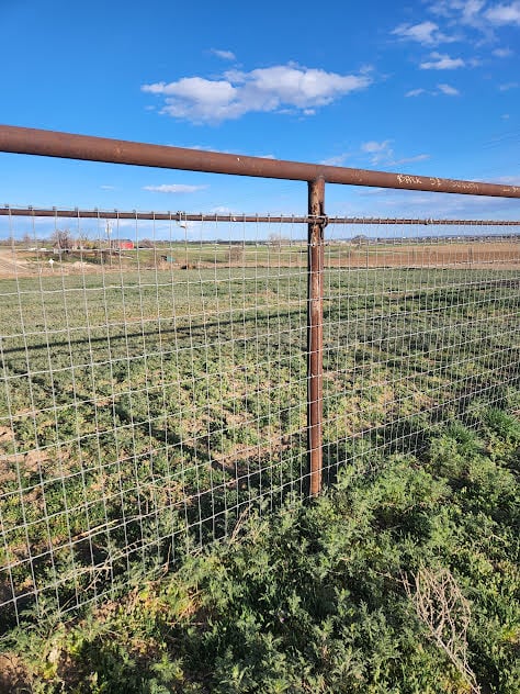 Expert Fence Construction