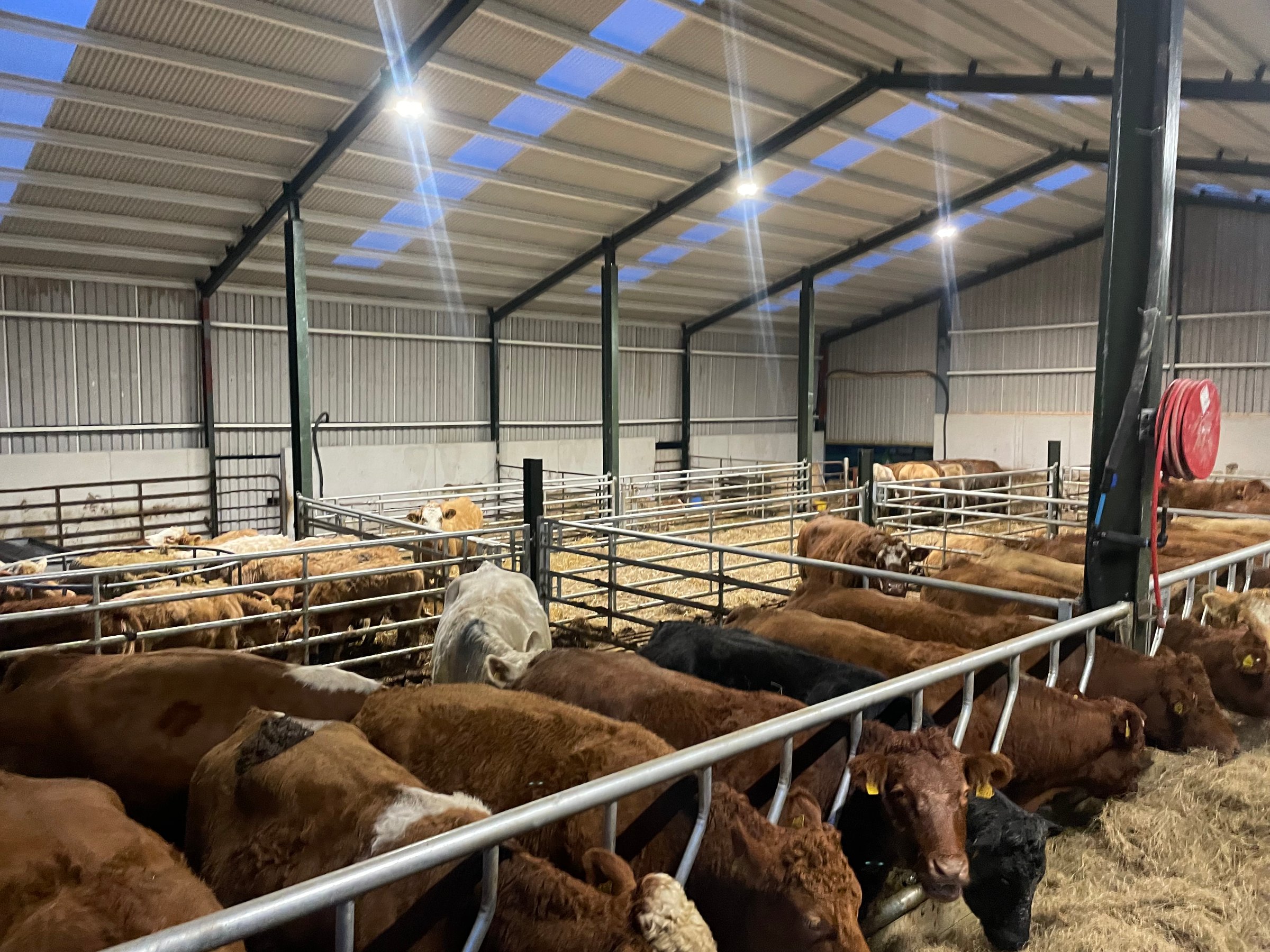 Farm animal ventilation system in modern agricultural facility