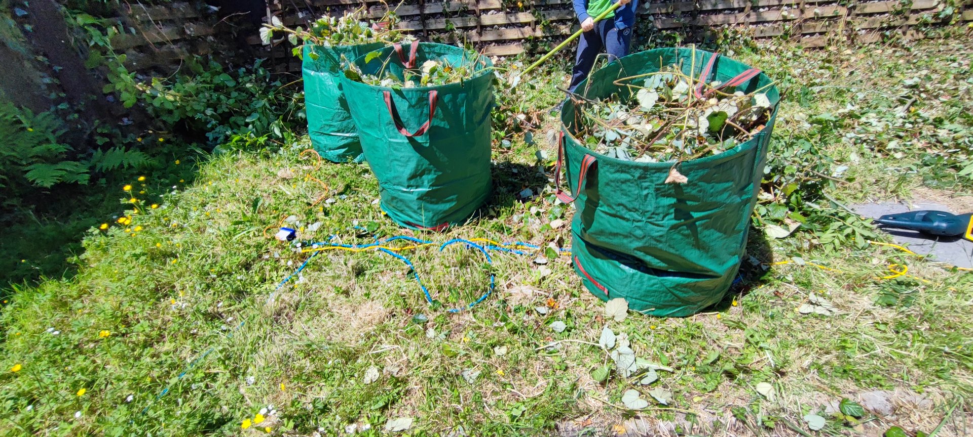 A garden that contains, three bags of garden waste.