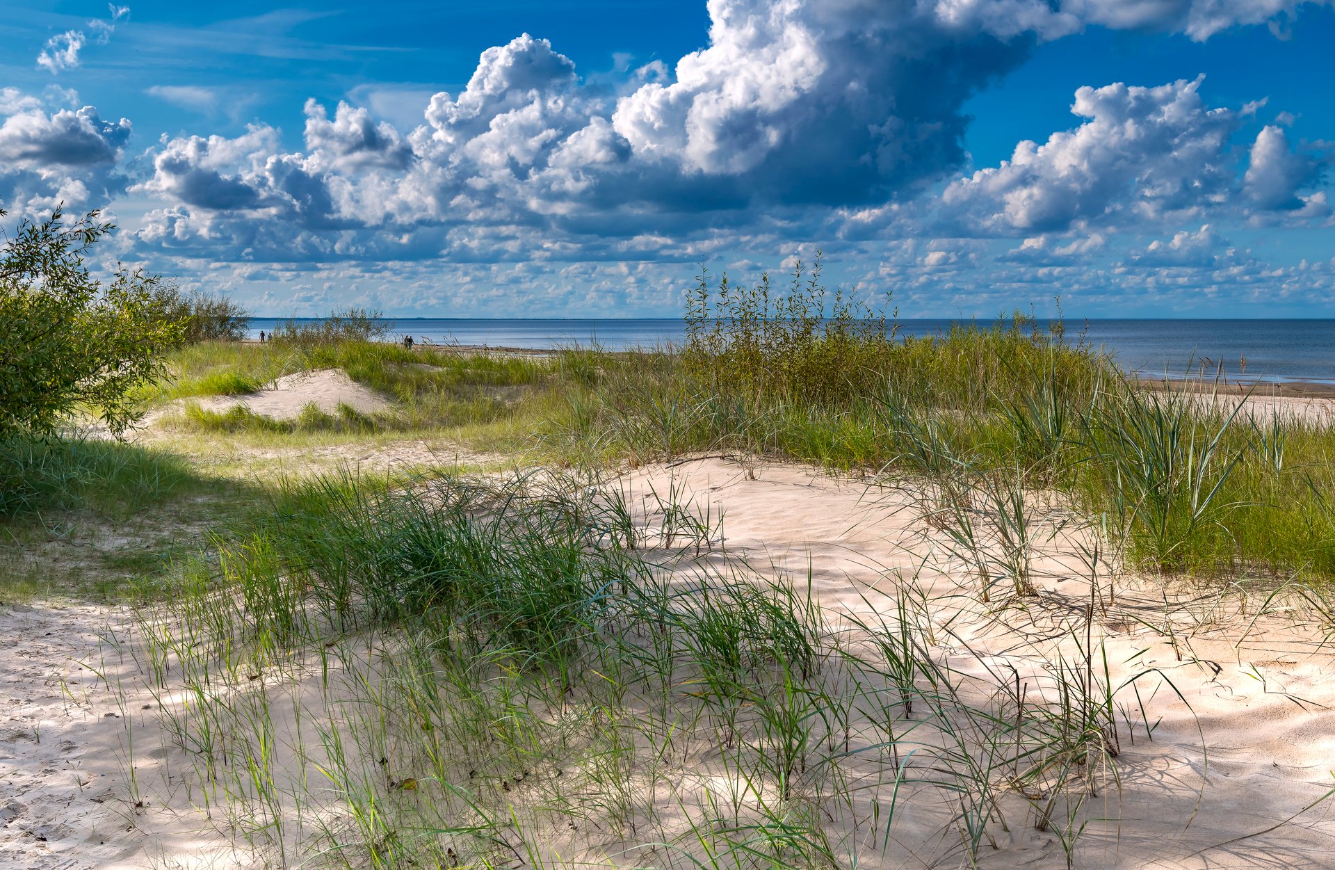 Katwijk strand en duinen aan zee
