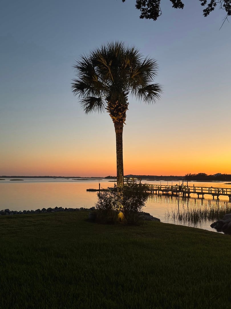 Professional lawn care project