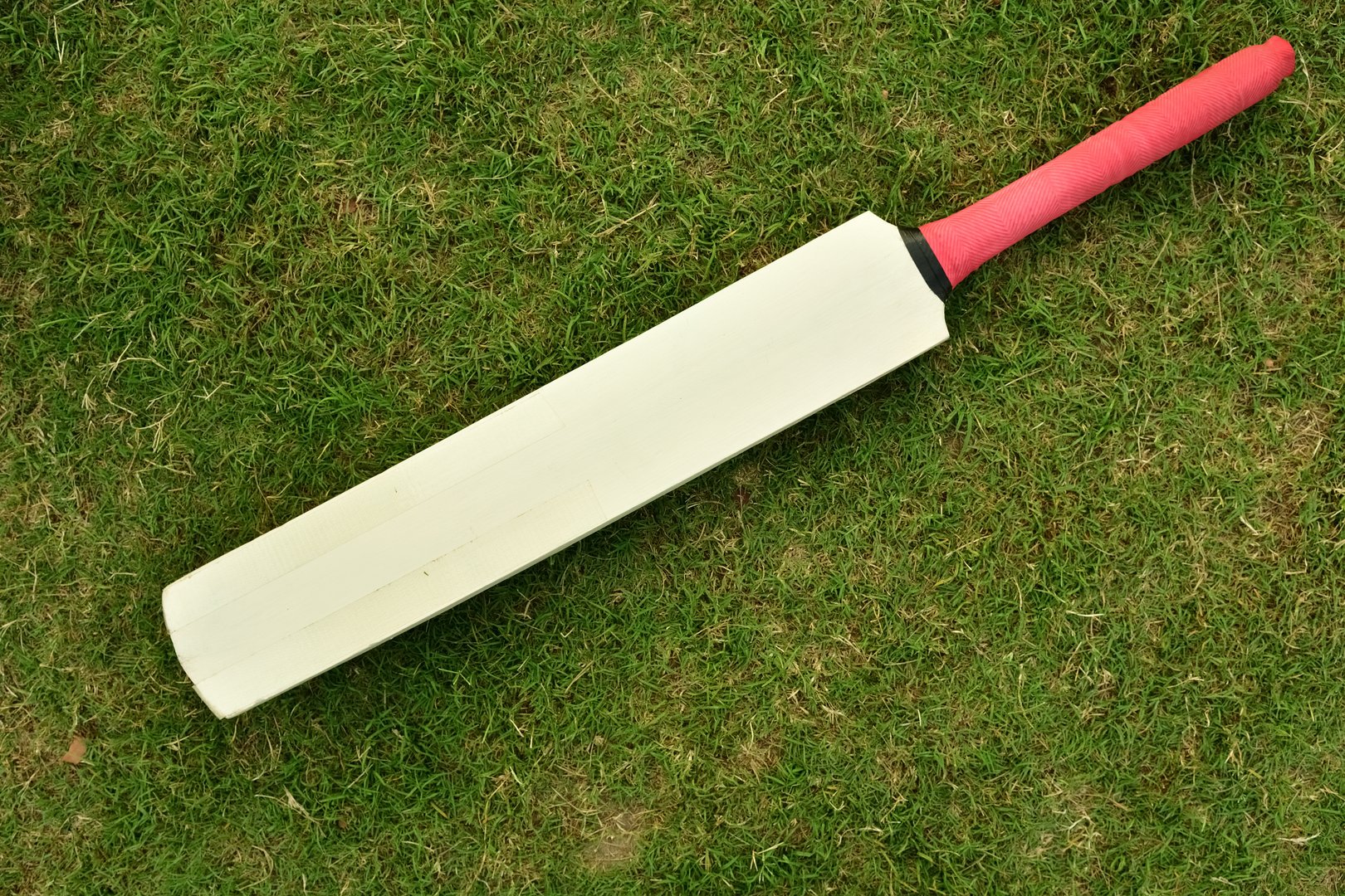 Cricket bat on grass