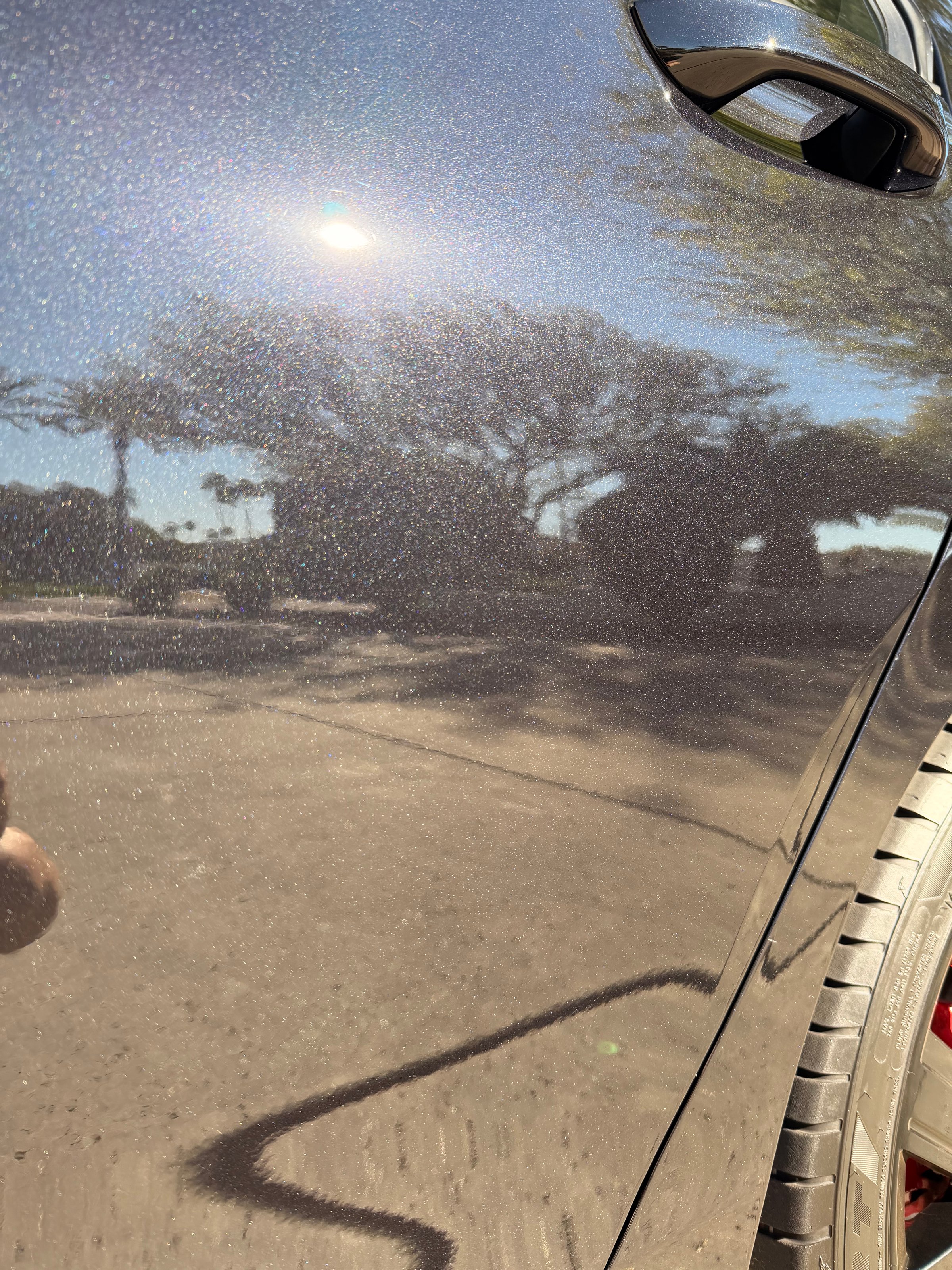 After detailing photo