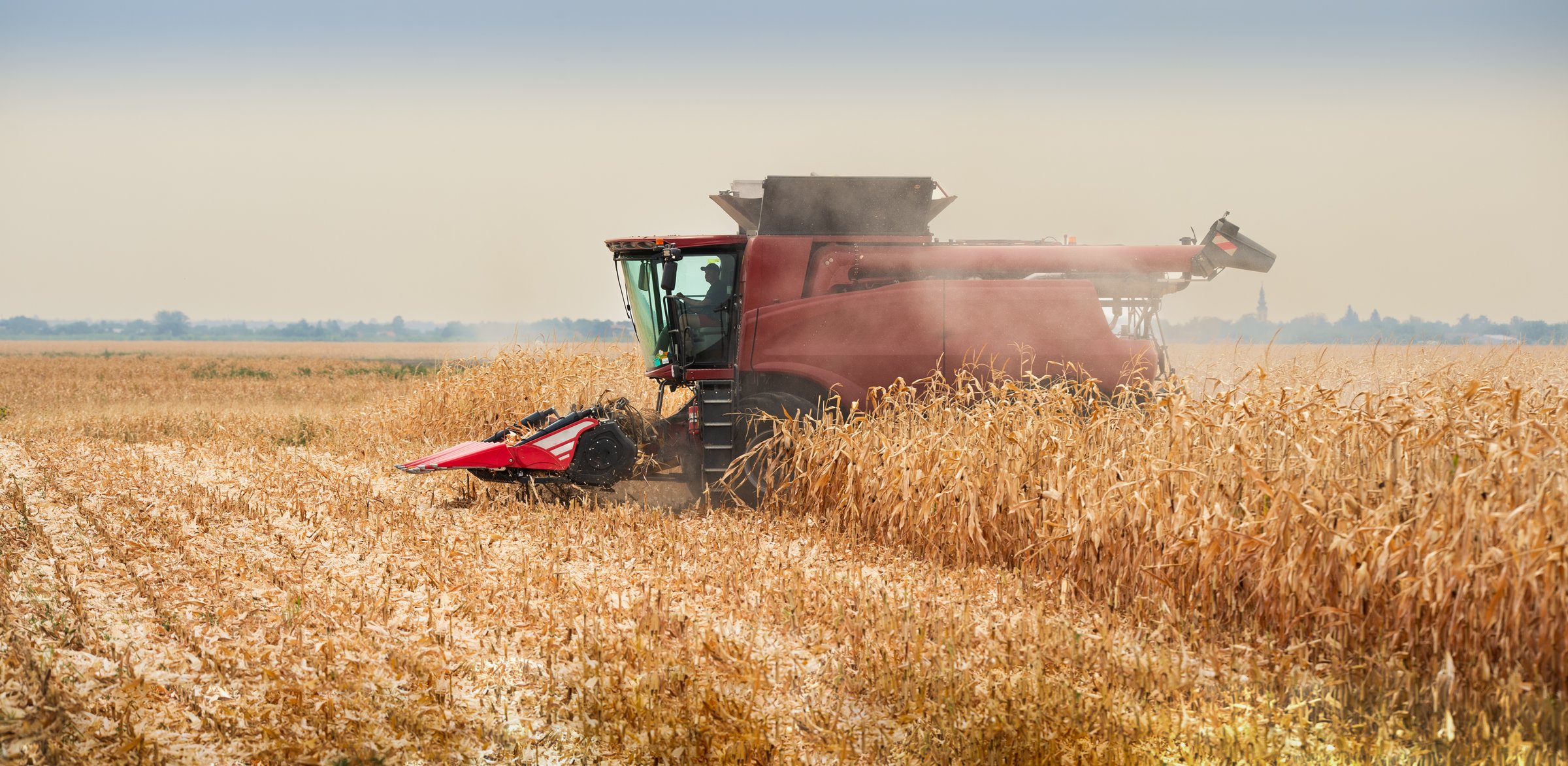 Harvest work. A modern combine harvester working a wheat field, during sunset