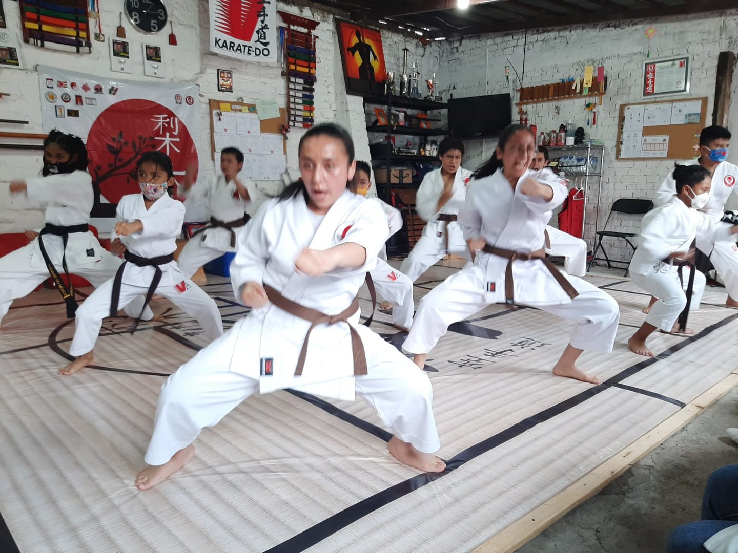 Dojo Image Placeholder 1