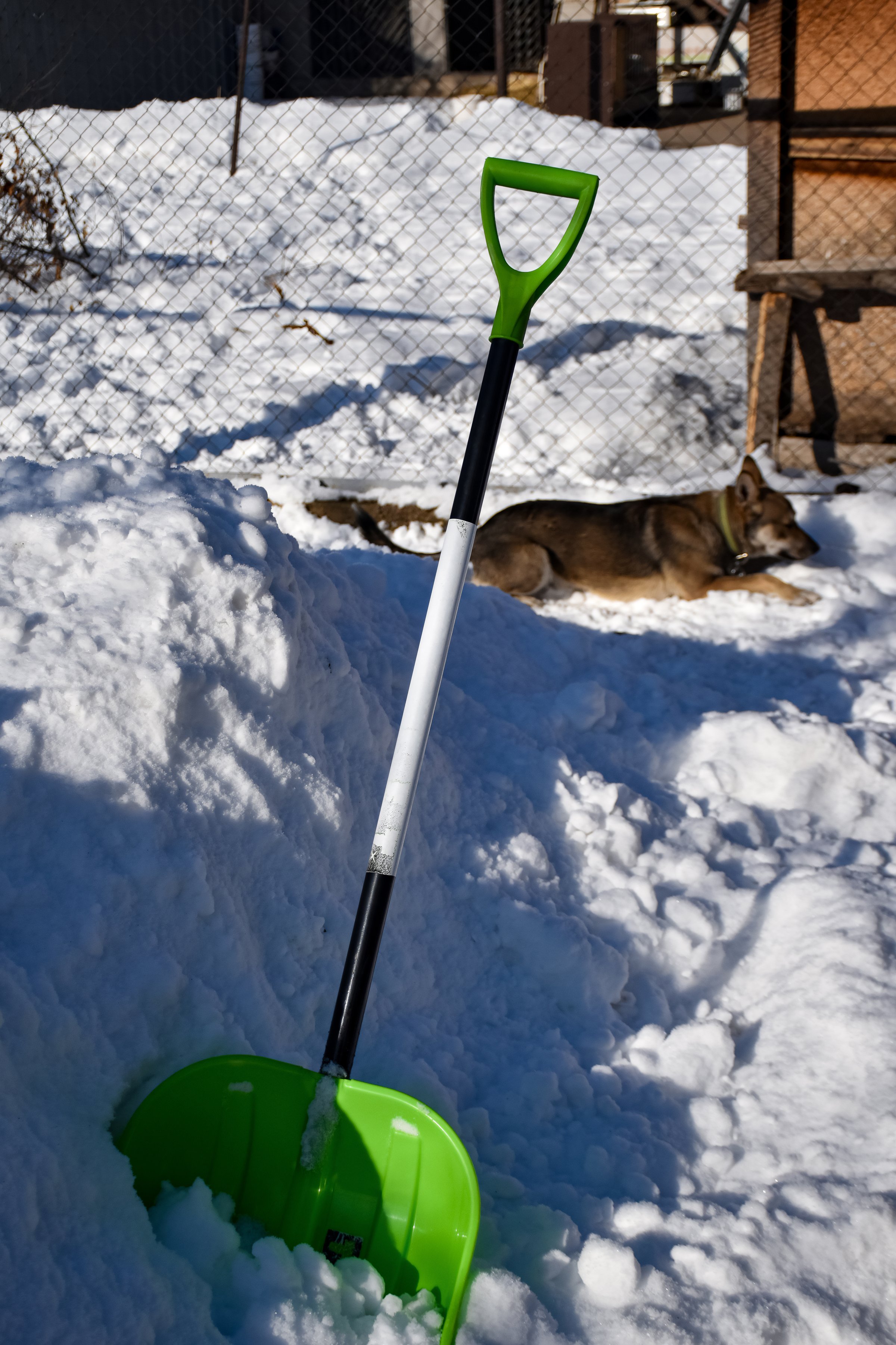 Backyard snow removal, winter shoveling, winter housework, driveway snow removal