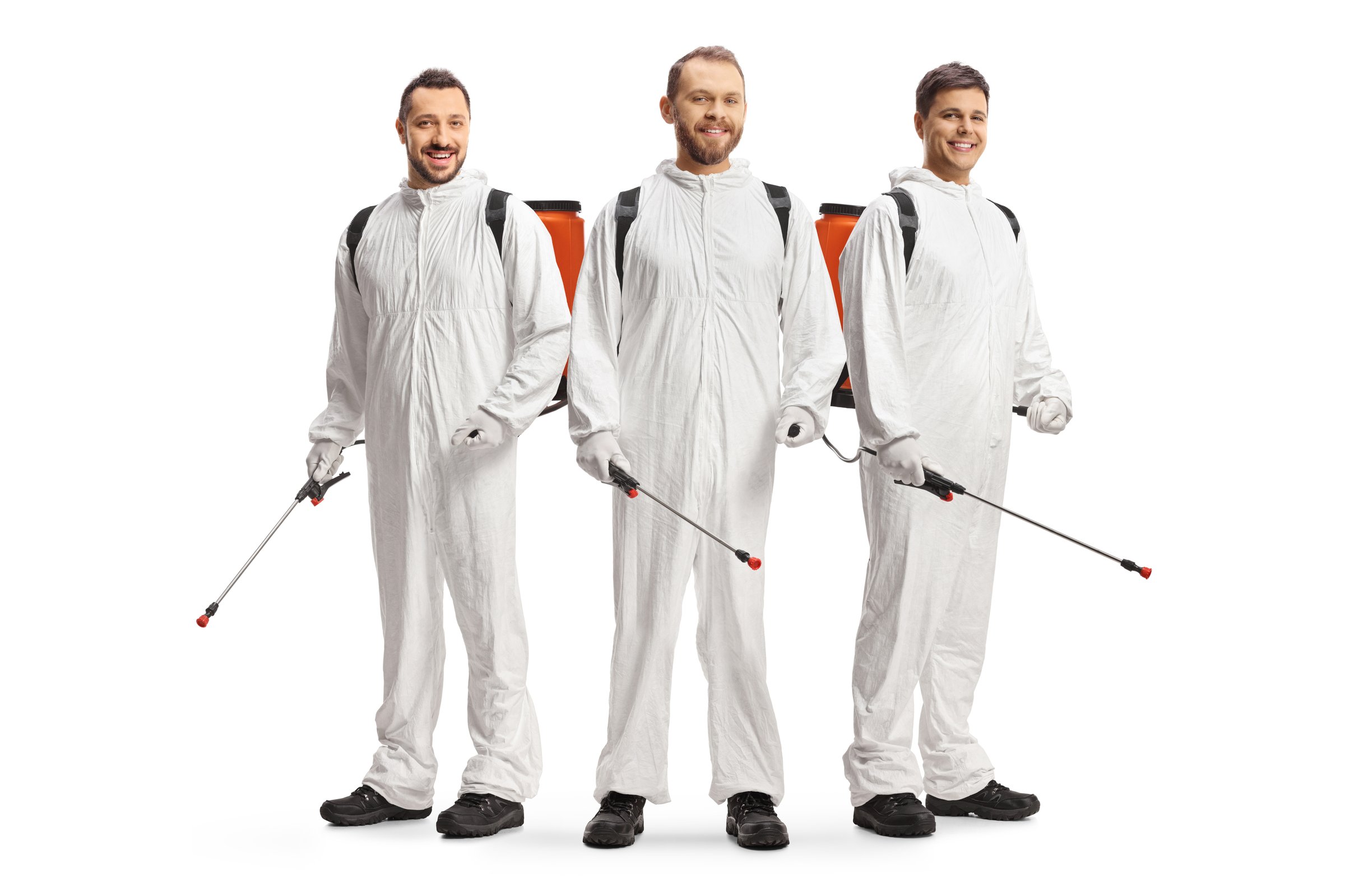 Professional pest control team in white protective suits