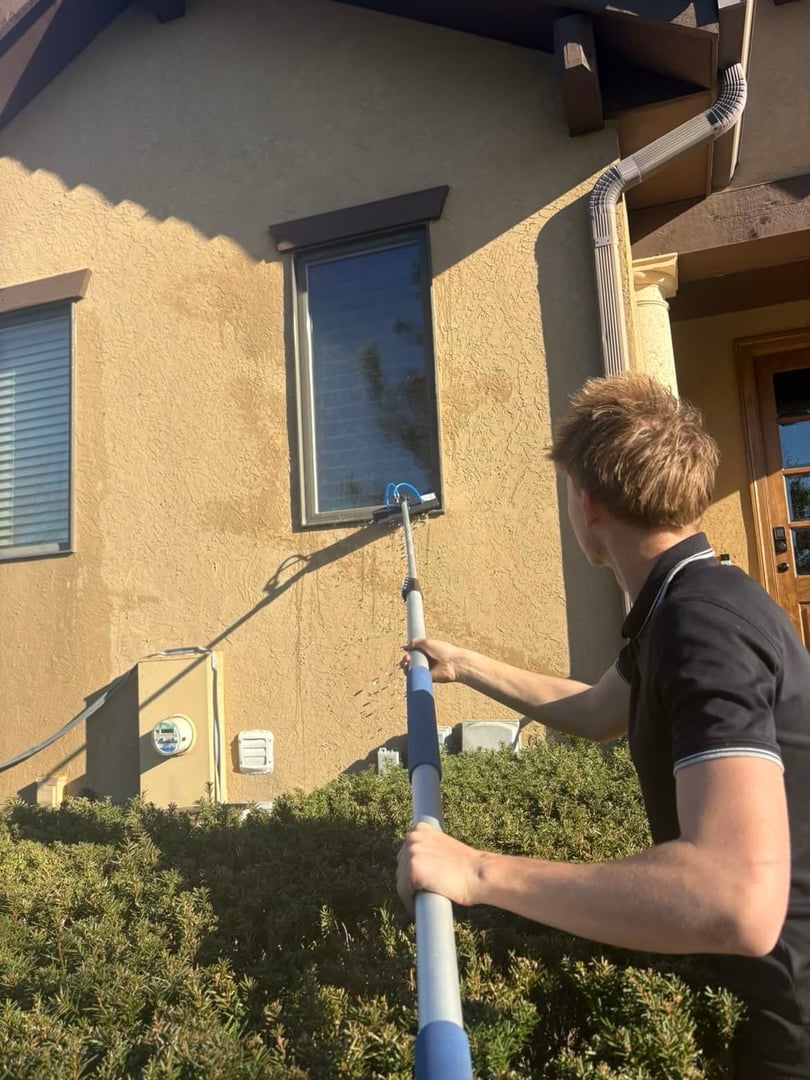 Professional window cleaning service