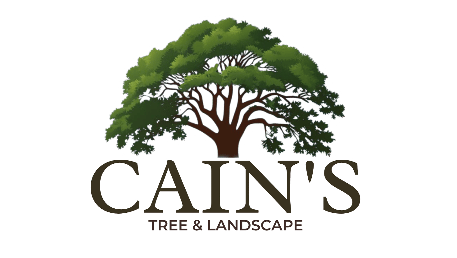 CAIN'S TREE & LANDSCAPE