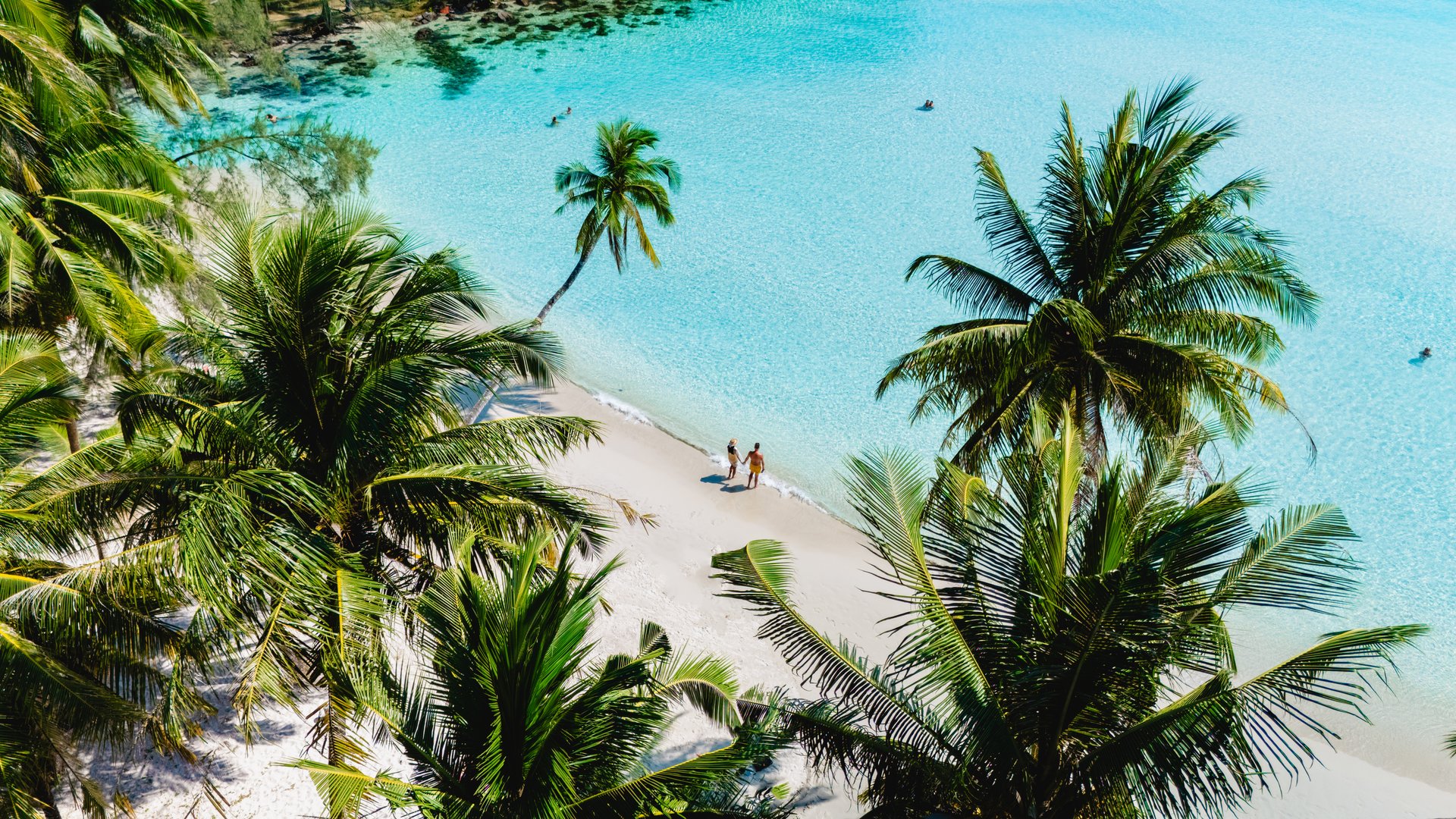 Two individuals enjoy a tranquil walk along the pristine beach of Koh Kood, surrounded by lush palm trees and shimmering turquoise waters. The sunlit scene captures the essence of paradise.