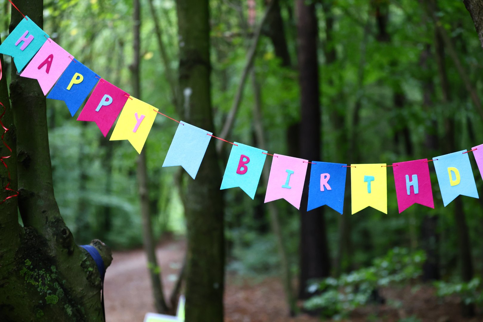 incomplete Happy Birthday inscription on colorful flags in a green forest