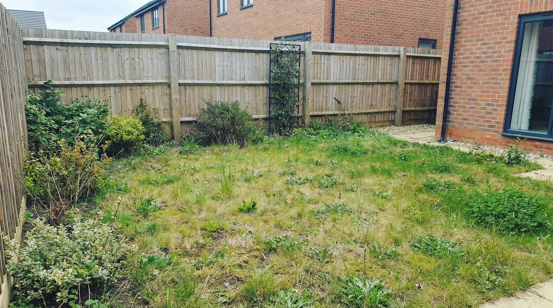 Garden before transformation 2