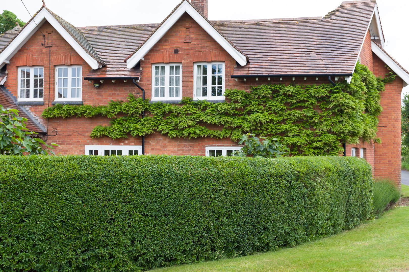 Hedge trimming & tidy-up – Bramhall